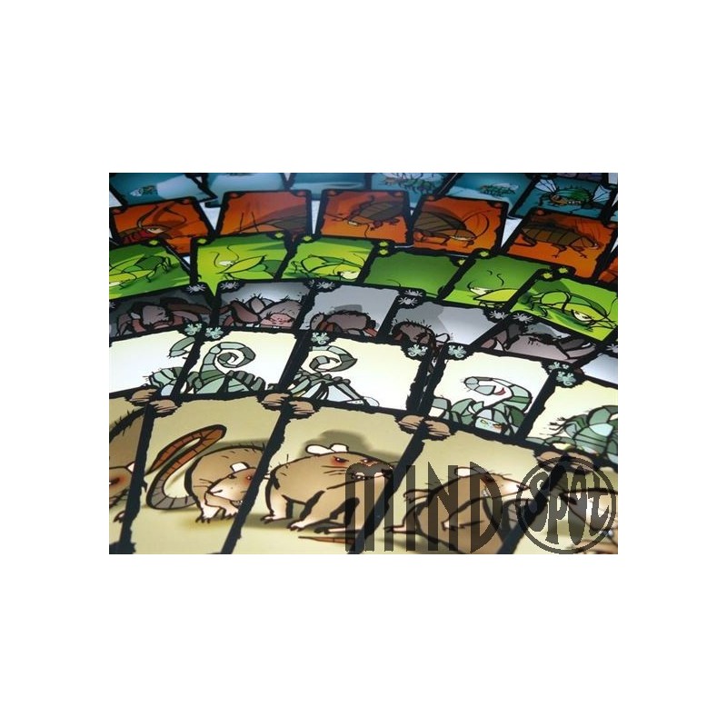 Cockroach Poker - Drei Magier Spiel